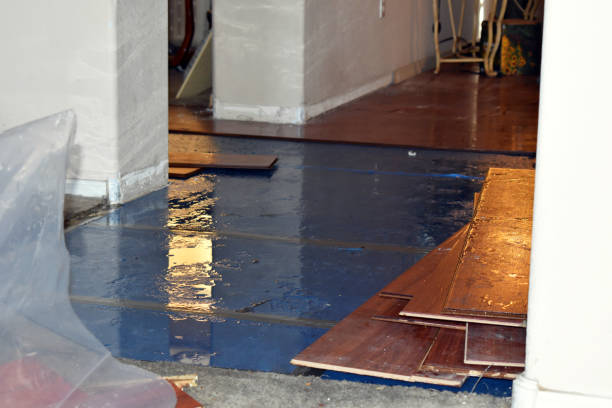 Professional Water Damage Restoration technician working in Marstons Mills, MA